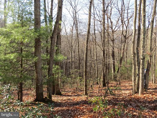 3.4 Acres of Land for Sale in Mathias, West Virginia
