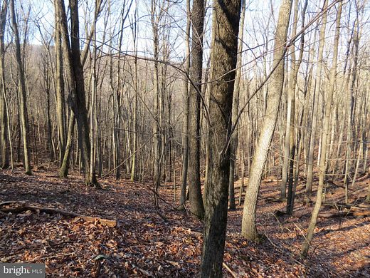 2.9 Acres of Residential Land for Sale in Mathias, West Virginia