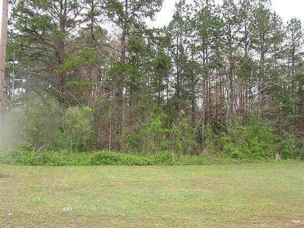 1.33 Acres of Commercial Land for Sale in Counce, Tennessee