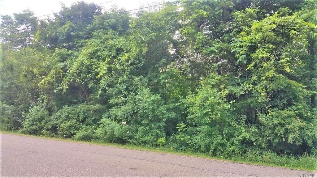 0.26 Acres of Land for Sale in Angola, New York