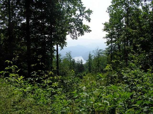 1.54 Acres of Land for Sale in Almond, North Carolina