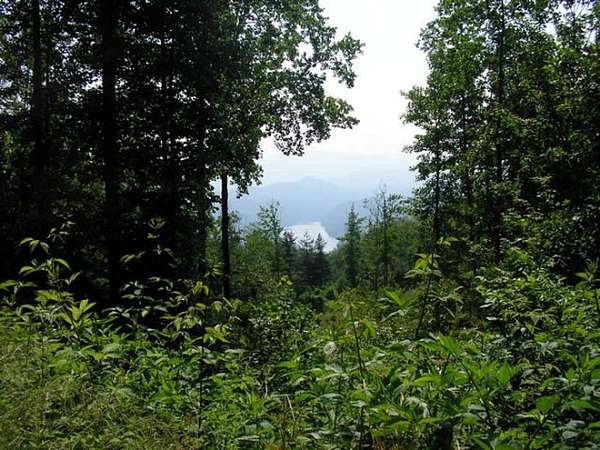 1.54 Acres of Land for Sale in Almond, North Carolina