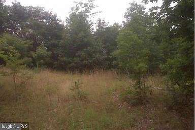 9.1 Acres of Residential Land for Sale in Winchester, Virginia