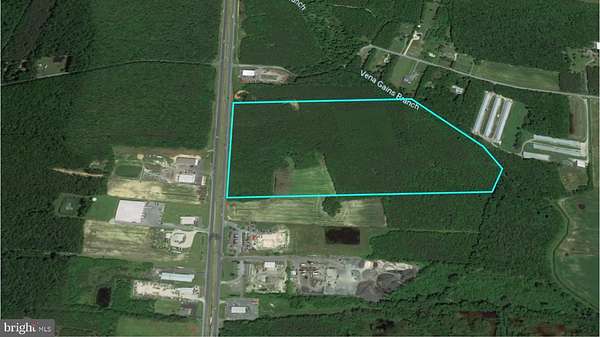 51.5 Acres of Land for Sale in Delmar, Delaware