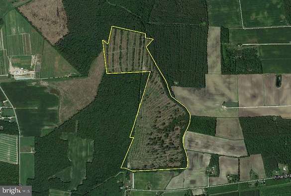 110 Acres of Recreational Land for Sale in Delmar, Delaware