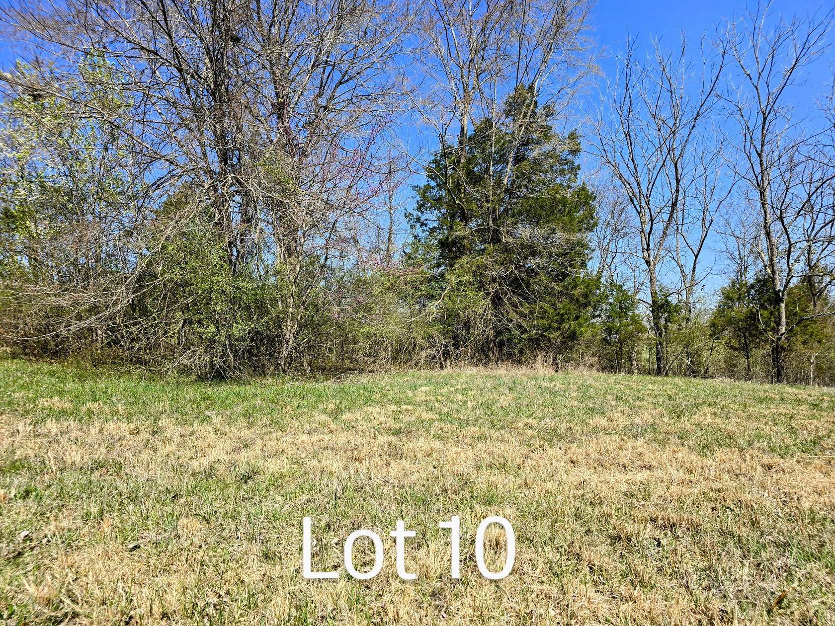 1 Acre of Residential Land for Sale in Birchwood, Tennessee