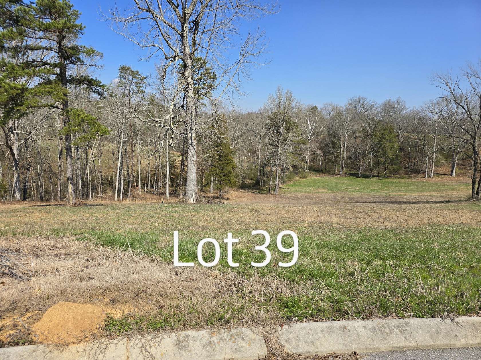 2 Acres of Residential Land for Sale in Birchwood, Tennessee