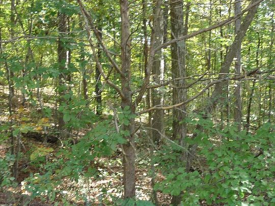 103 Acres of Land for Sale in Cleveland, Tennessee