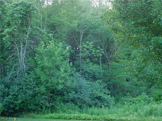 2.1 Acres of Residential Land for Sale in Hinckley, Ohio