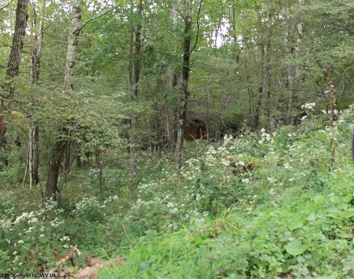 7.3 Acres of Residential Land for Sale in Harman, West Virginia