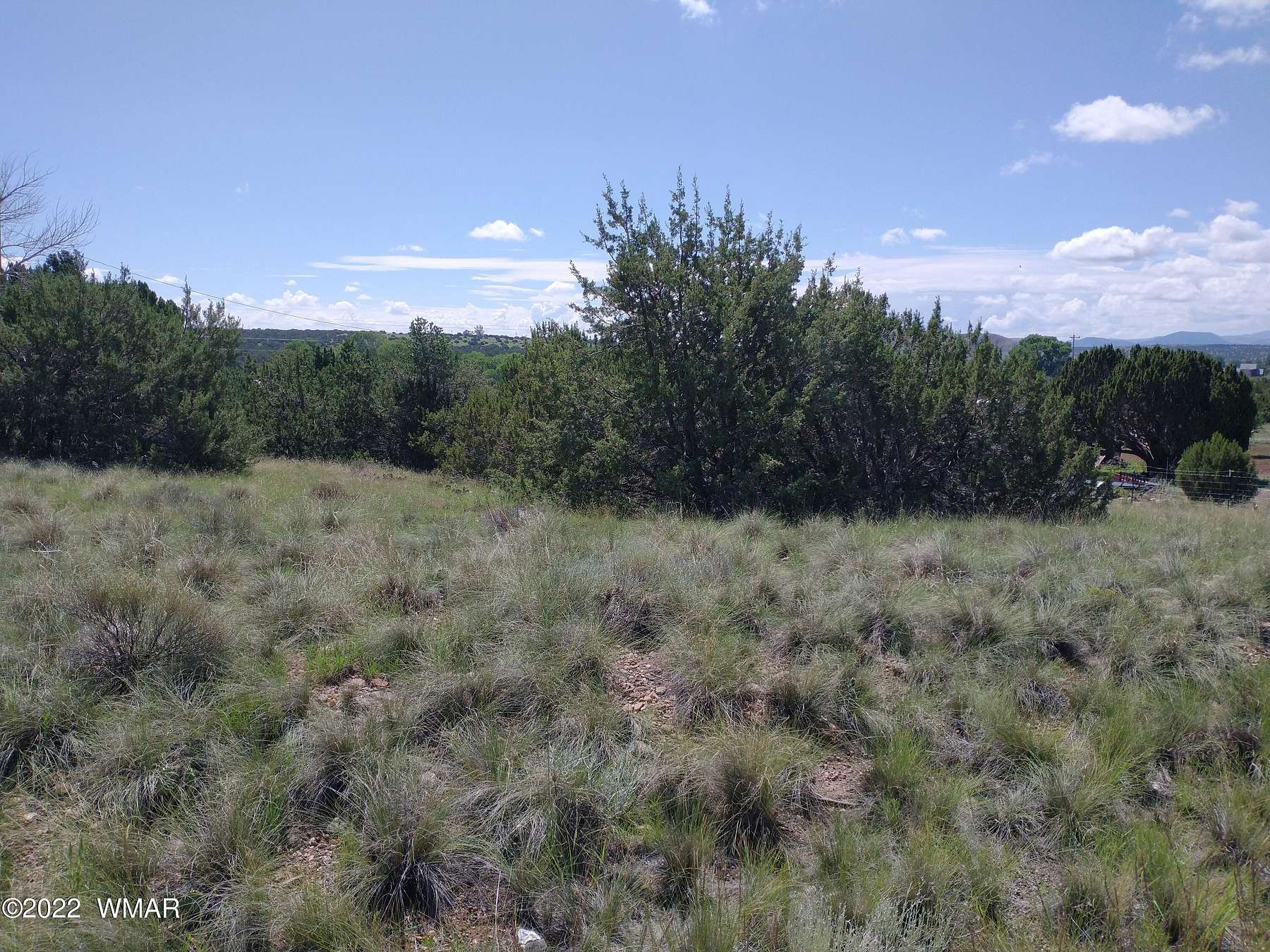 0.34 Acres of Residential Land for Sale in Concho, Arizona