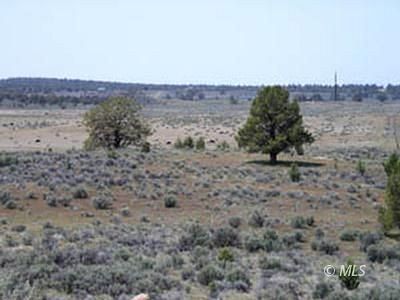 20 Acres of Recreational Land for Sale in Alturas, California
