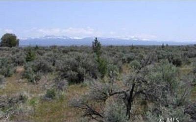 21.2 Acres of Recreational Land for Sale in Alturas, California
