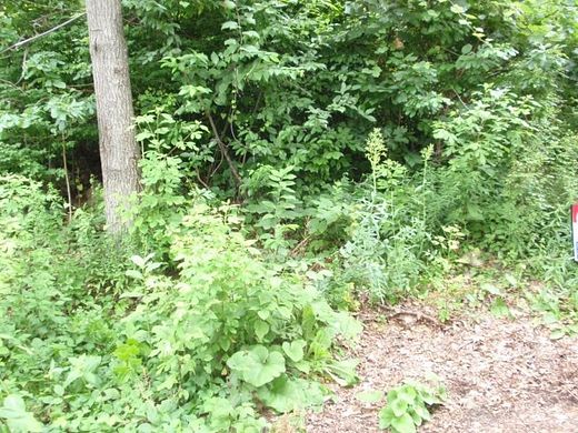 0.21 Acres of Residential Land for Sale in Hopatcong, New Jersey