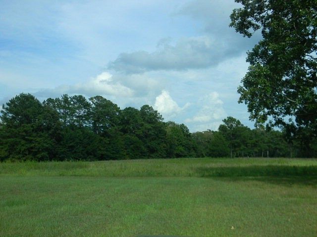 9 Acres of Mixed-Use Land for Sale in Andalusia, Alabama