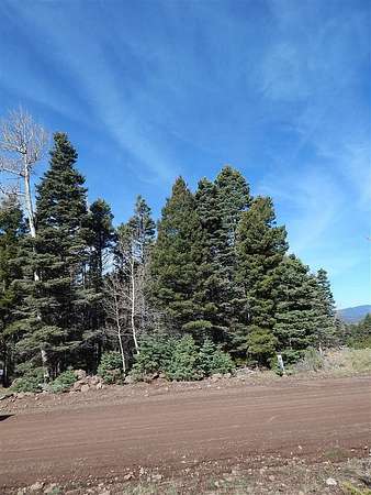 0.8 Acres of Land for Sale in Angel Fire, New Mexico