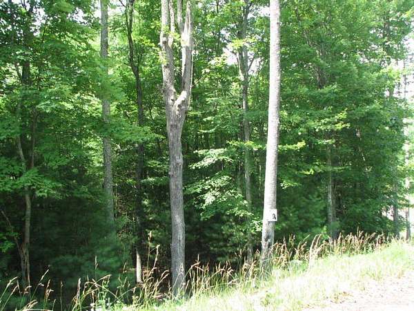 0.94 Acres of Land for Sale in Daniels, West Virginia