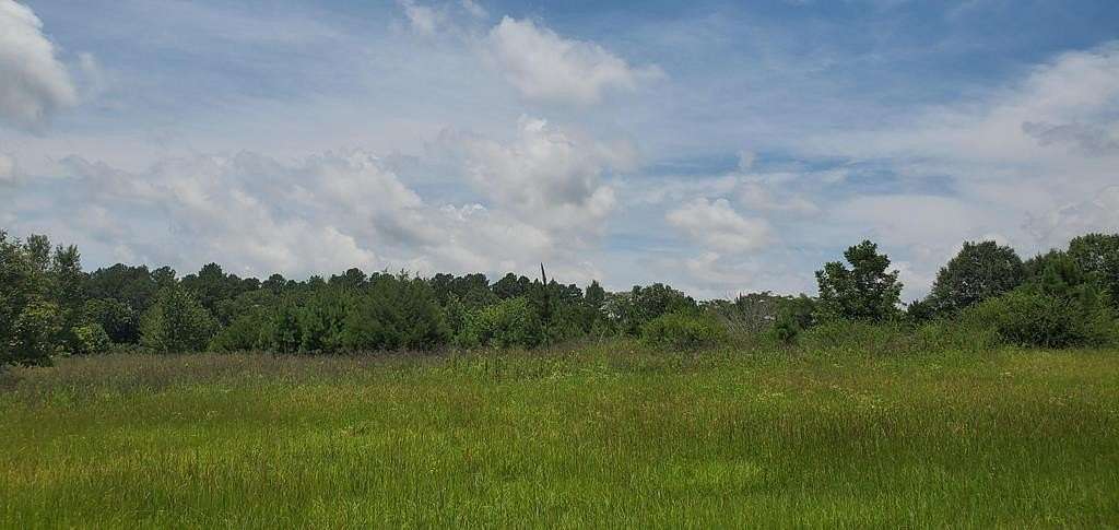 5.24 Acres of Commercial Land for Sale in Dothan, Alabama