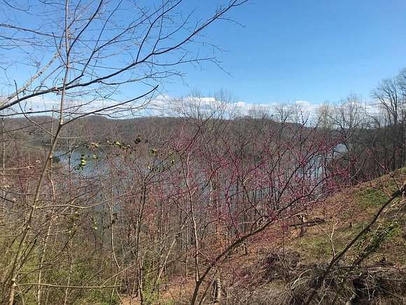 0.59 Acres of Land for Sale in Smithville, Tennessee