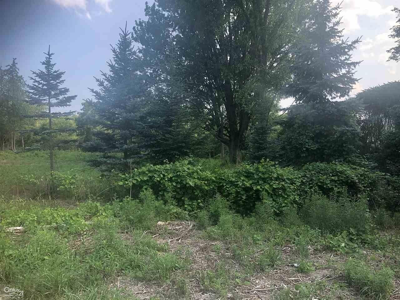 2.3 Acres of Residential Land for Sale in Ray Township, Michigan