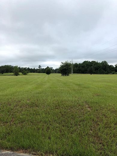 29 Acres of Land for Sale in Ashford, Alabama