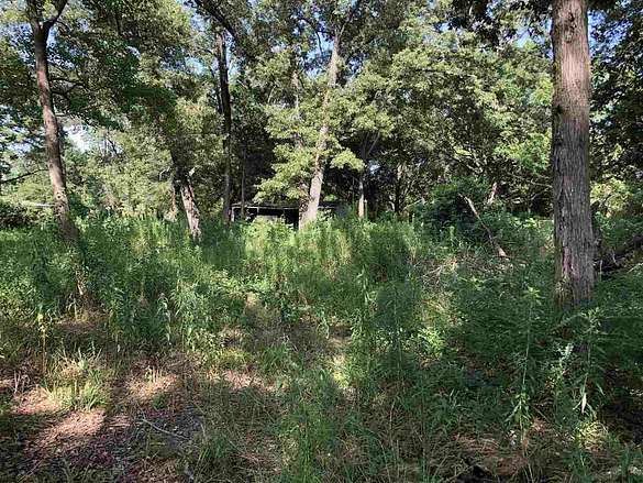 36.5 Acres of Recreational Land for Sale in Texarkana, Texas