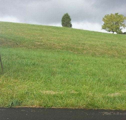 0.59 Acres of Mixed-Use Land for Sale in Lebanon, Virginia