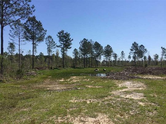 51.7 Acres of Recreational Land for Sale in Ruston, Louisiana