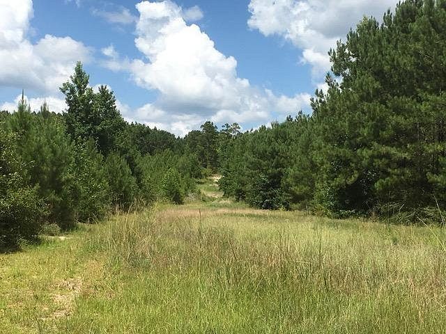 191 Acres of Recreational Land for Sale in Florien, Louisiana