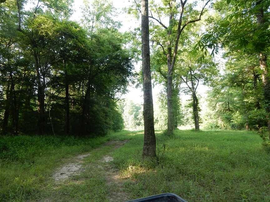 1 Acre of Land for Sale in Baxley, LandSearch