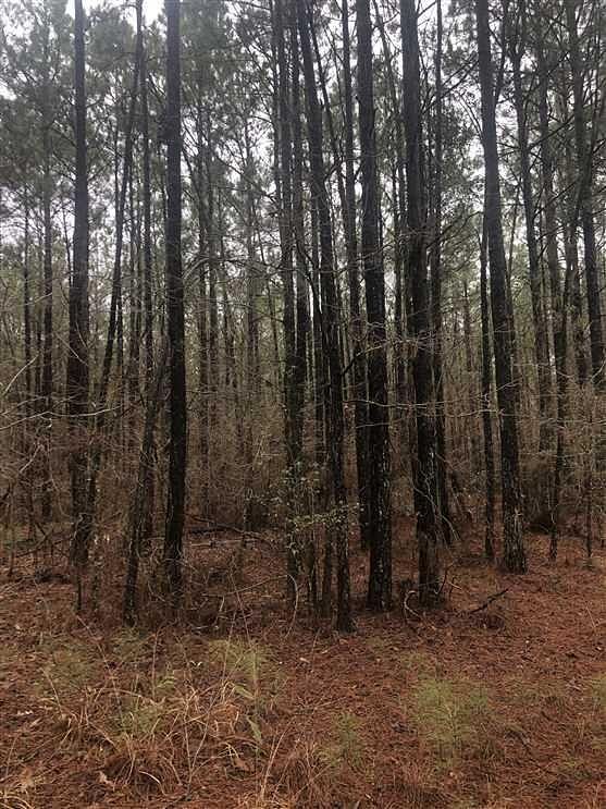 15 Acres of Recreational Land for Sale in Dubach, Louisiana