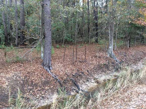 50 Acres of Recreational Land for Sale in Sulphur, Louisiana