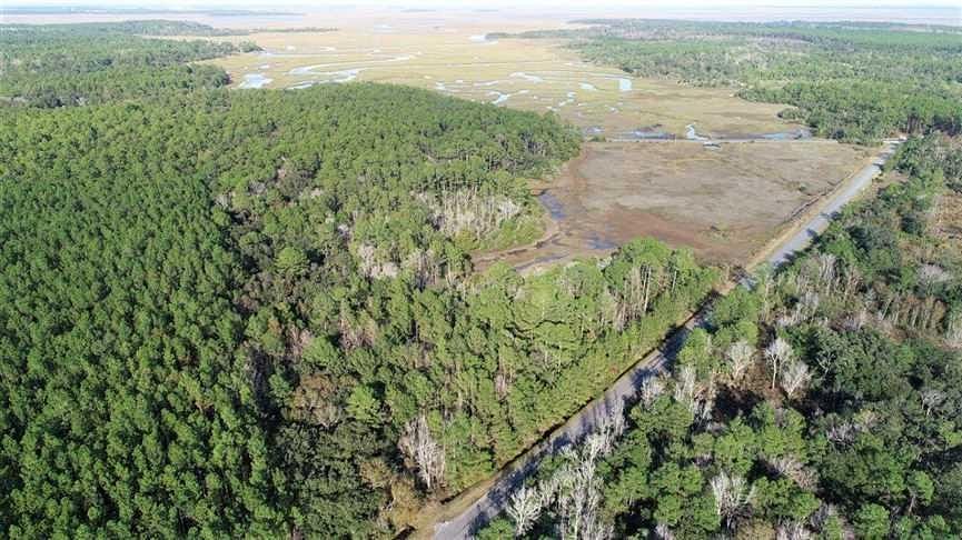 23 Acres of Recreational Land for Sale in Waverly, Georgia