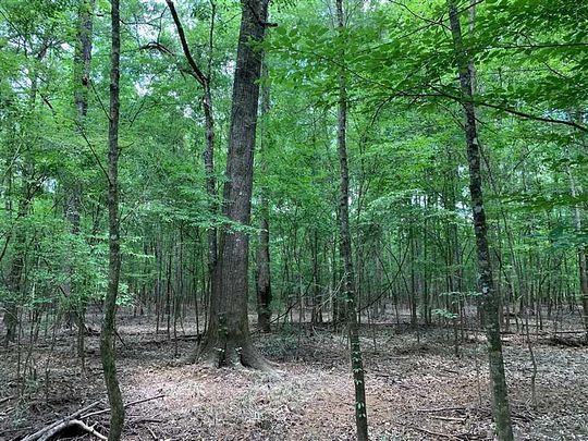 155 Acres of Recreational Land for Sale in Quitman, Louisiana