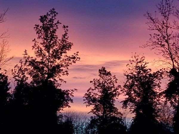 54.2 Acres of Land for Sale in Brockport, New York