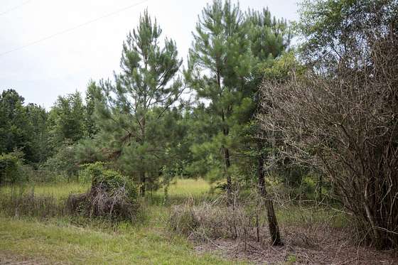 103 Acres of Land for Sale in St. George, South Carolina