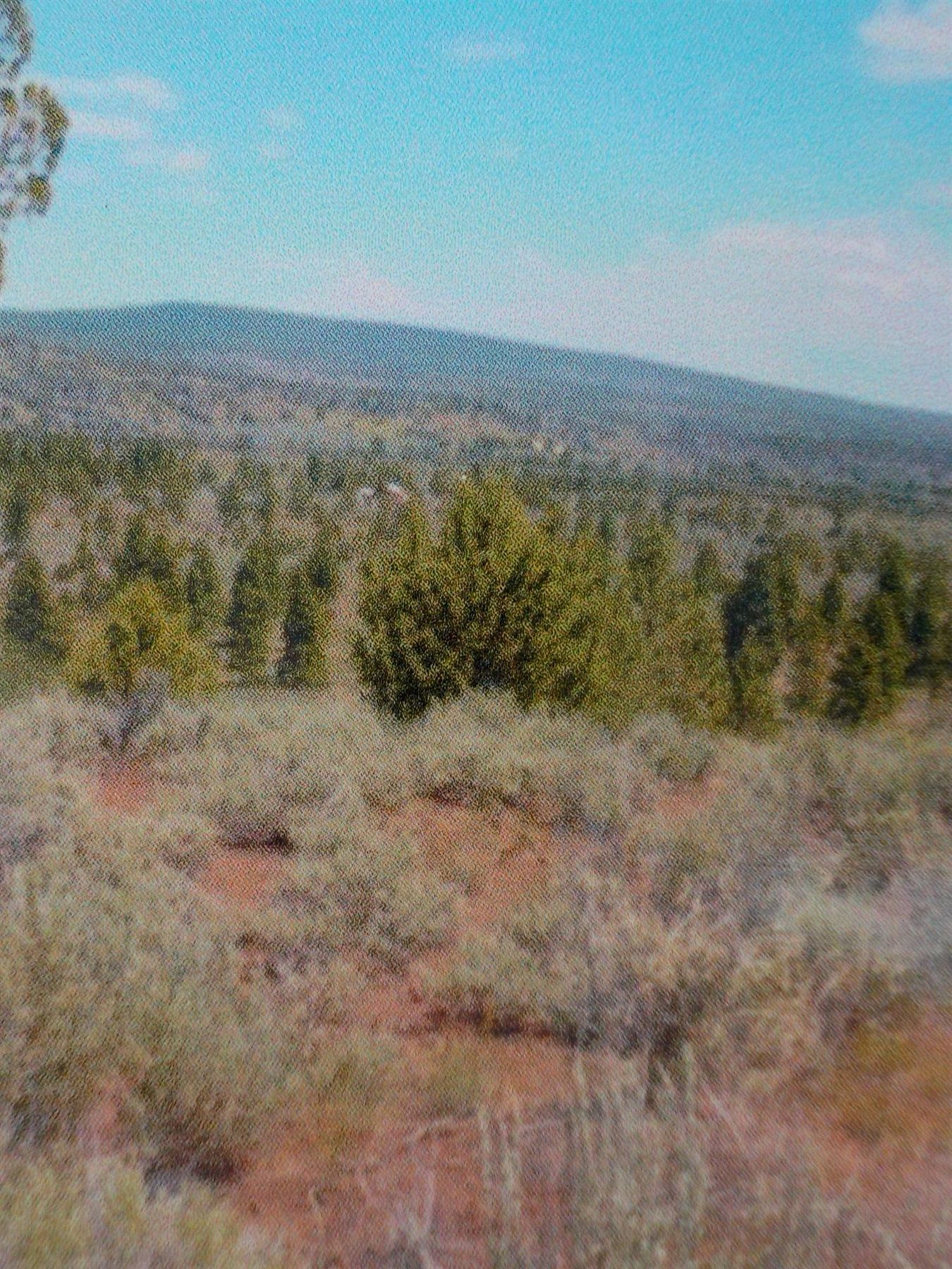 80 Acres of Recreational Land for Sale in Bonanza, Oregon