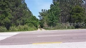 2.5 Acres of Commercial Land for Sale in Orlando, Florida