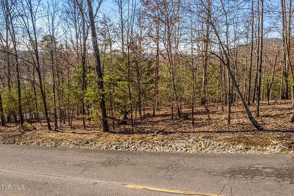 0.6 Acres of Residential Land for Sale in Mooresburg, Tennessee