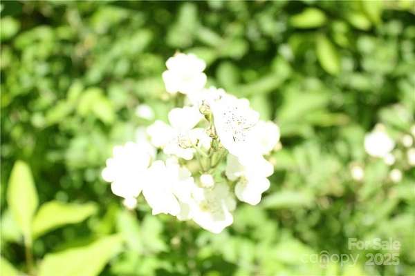 2.36 Acres of Residential Land for Sale in Candler, North Carolina