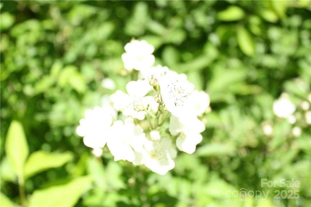 4 Acres of Residential Land for Sale in Candler, North Carolina