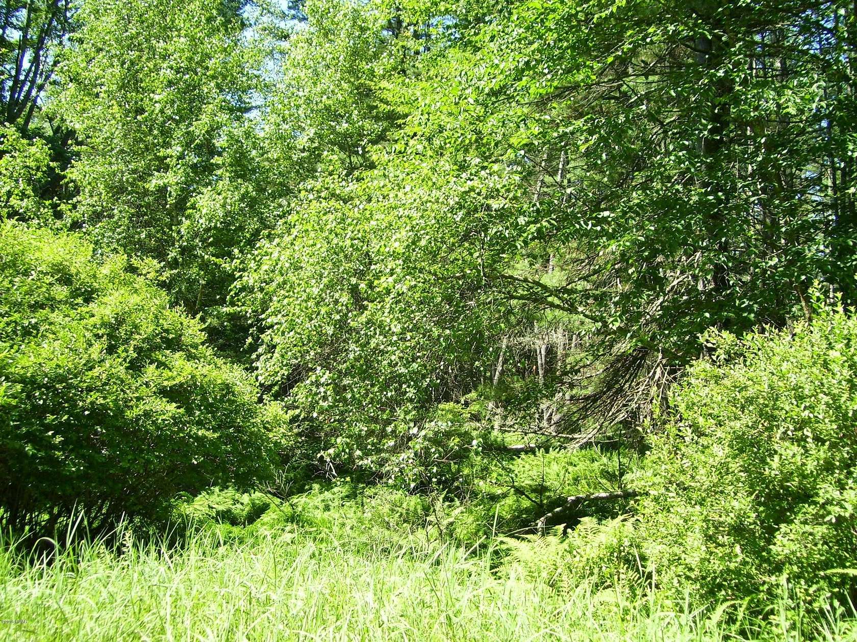 2.9 Acres of Residential Land for Sale in Rowland, Pennsylvania