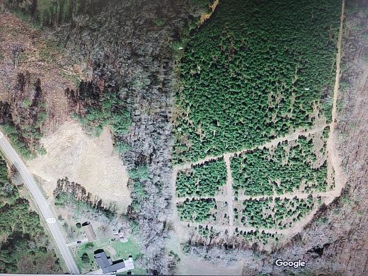 16 Acres of Land for Sale in Roanoke Rapids, North Carolina