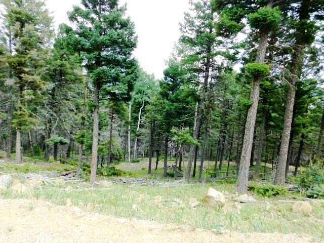 10.2 Acres of Land for Sale in Angel Fire, New Mexico