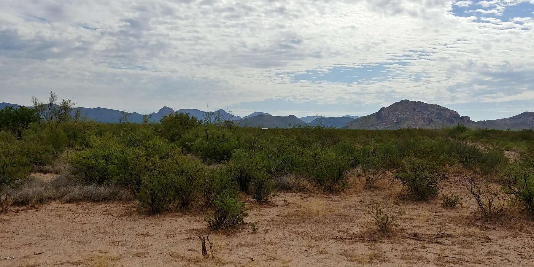40.5 Acres of Agricultural Land for Sale in Douglas, Arizona