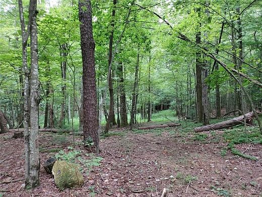 53.7 Acres of Recreational Land for Sale in Hays, North Carolina