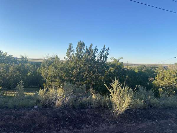 0.95 Acres of Residential Land for Sale in Eagar, Arizona