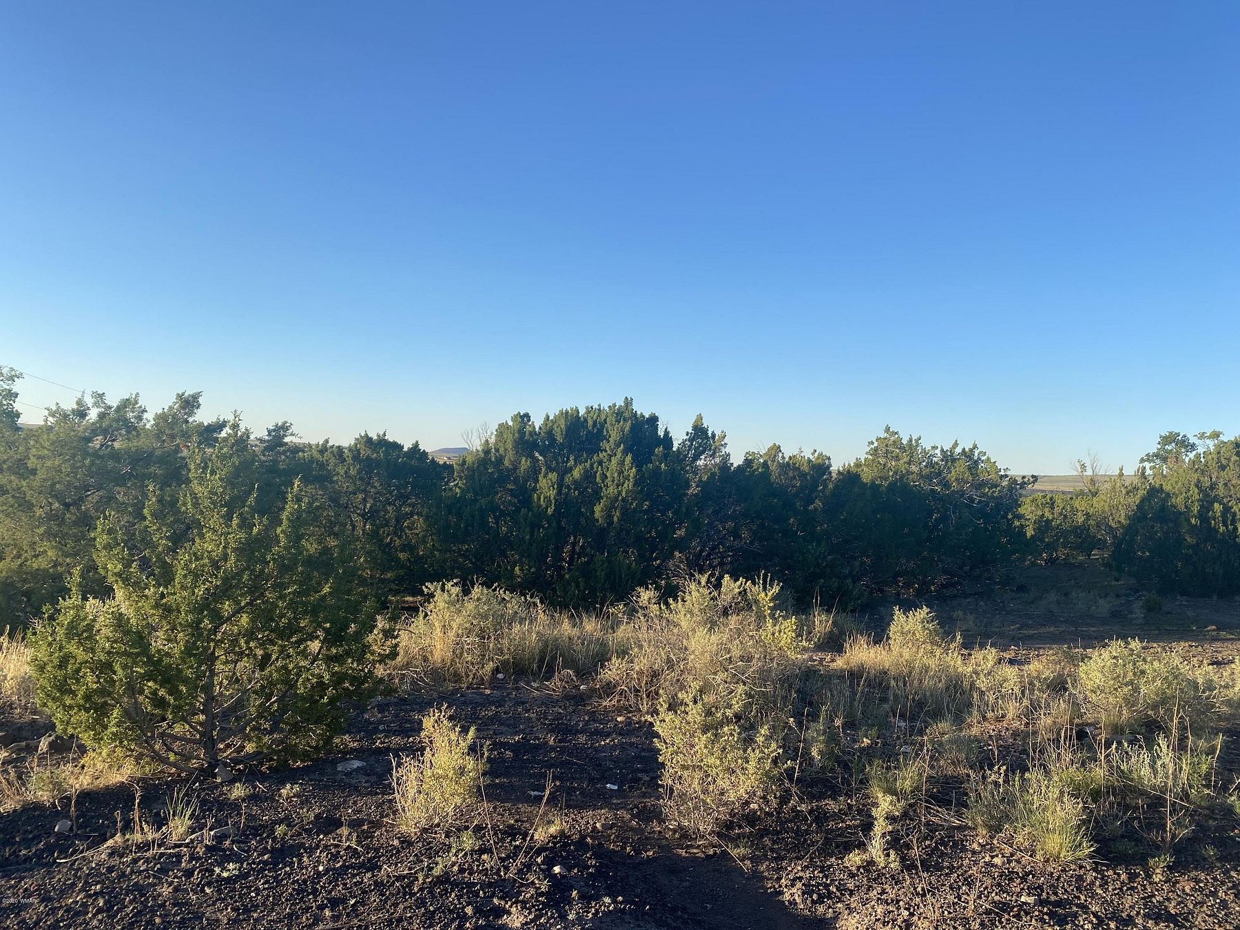 0.79 Acres of Residential Land for Sale in Eagar, Arizona