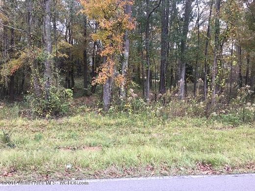 1.26 Acres of Residential Land for Sale in Jasper, Alabama