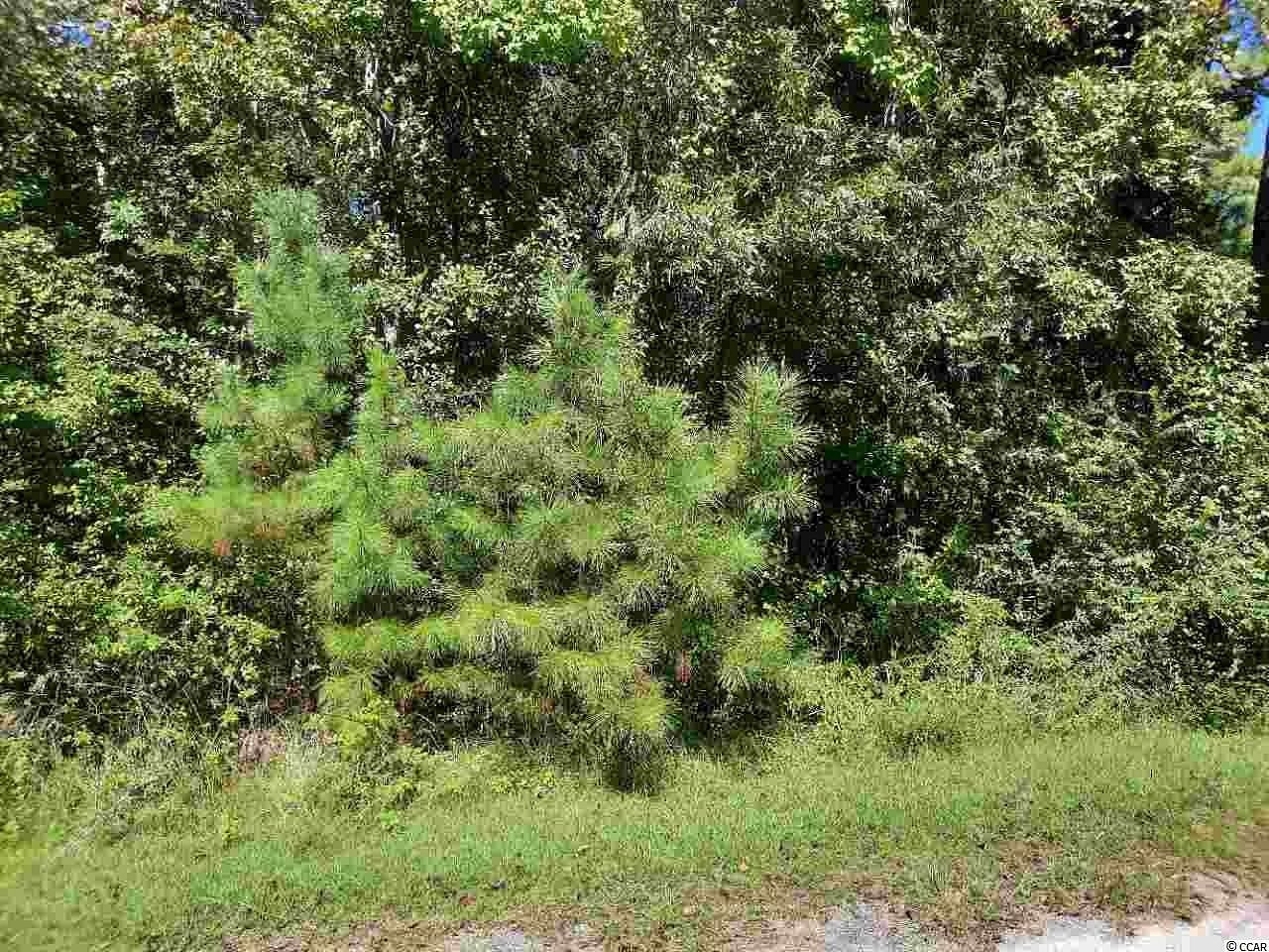 0.3 Acres of Residential Land for Sale in Hemingway, South Carolina